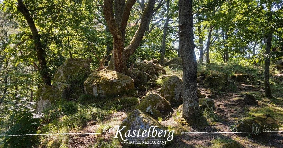 Vue extérieure du lieu Le Kastelberg à Andlau en Grand Est