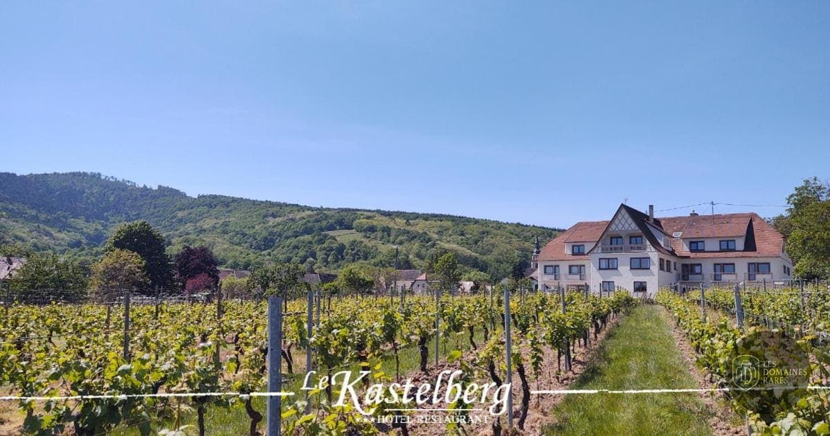 Vue extérieure du lieu Le Kastelberg à Andlau en Grand Est