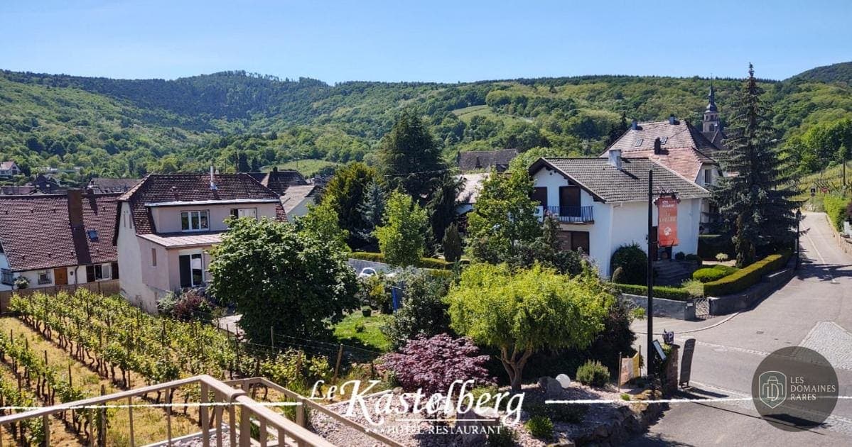 Vue extérieure du lieu Le Kastelberg à Andlau en Grand Est