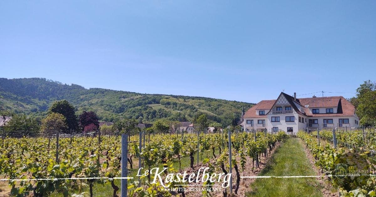 Vue extérieure du lieu Le Kastelberg à Andlau en Grand Est