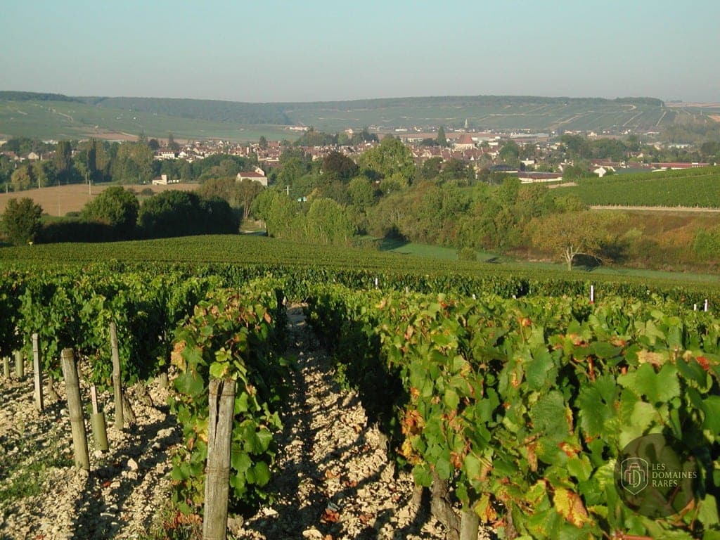 Vue extérieure du lieu Le Kimméridgien en Bourgogne-Franche-Comté