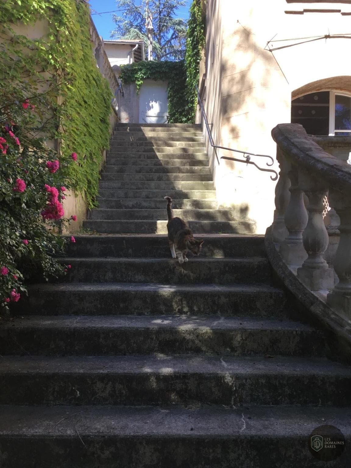 Vue extérieure du manoir Le Manoir en Auvergne-Rhône-Alpes