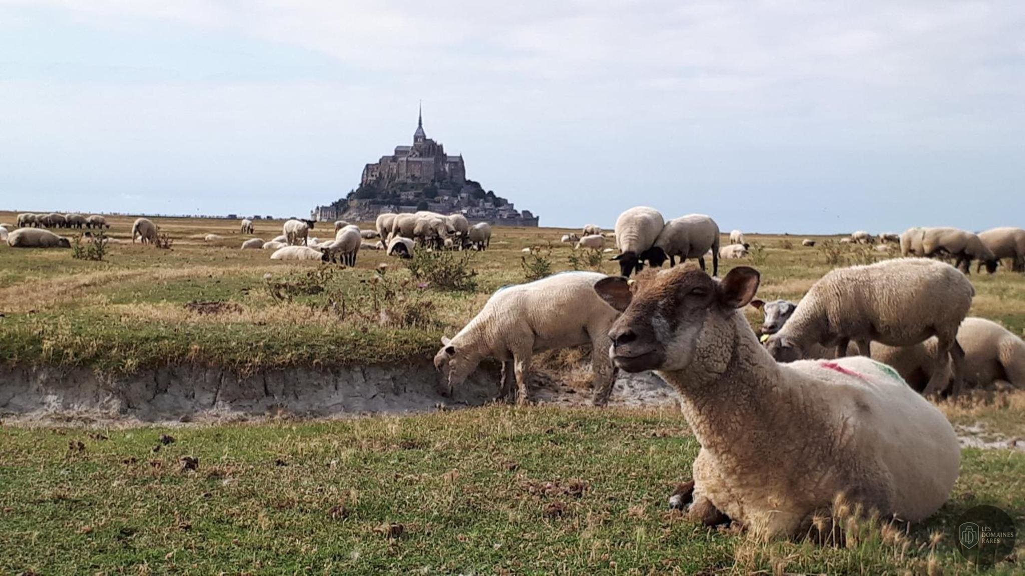 Vue extérieure du lieu Le Marité à Granville en Normandie