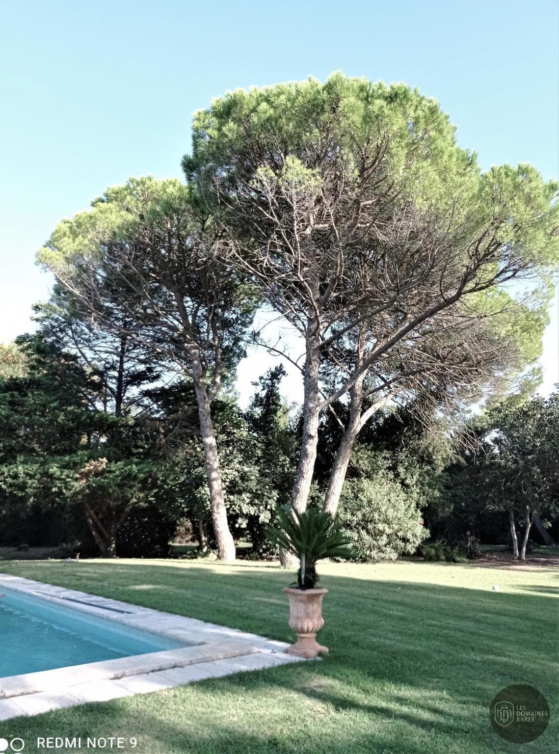 Vue extérieure du domaine Le Mas Neuf en Occitanie
