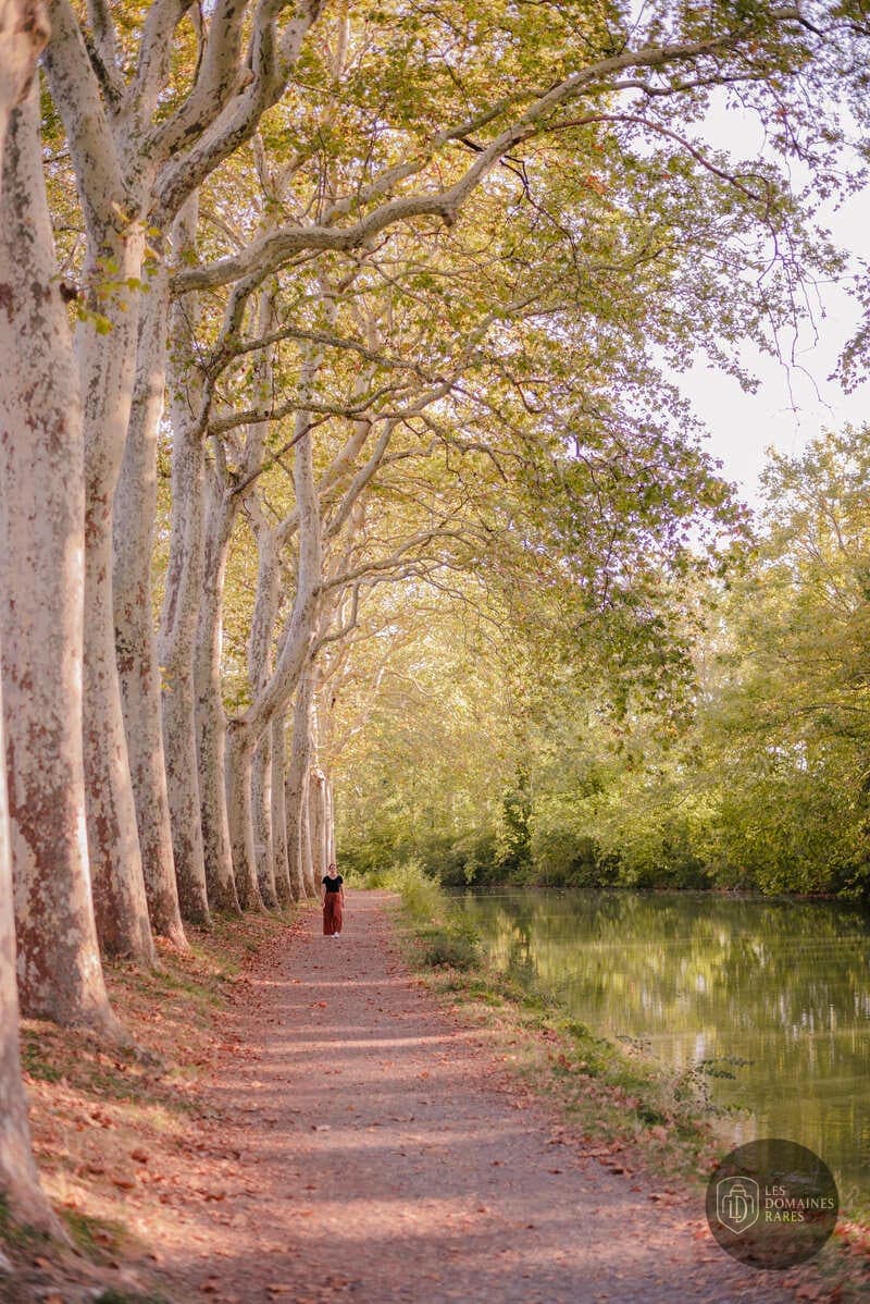 Vue extérieure de la ferme Le Mas des Canelles en Occitanie