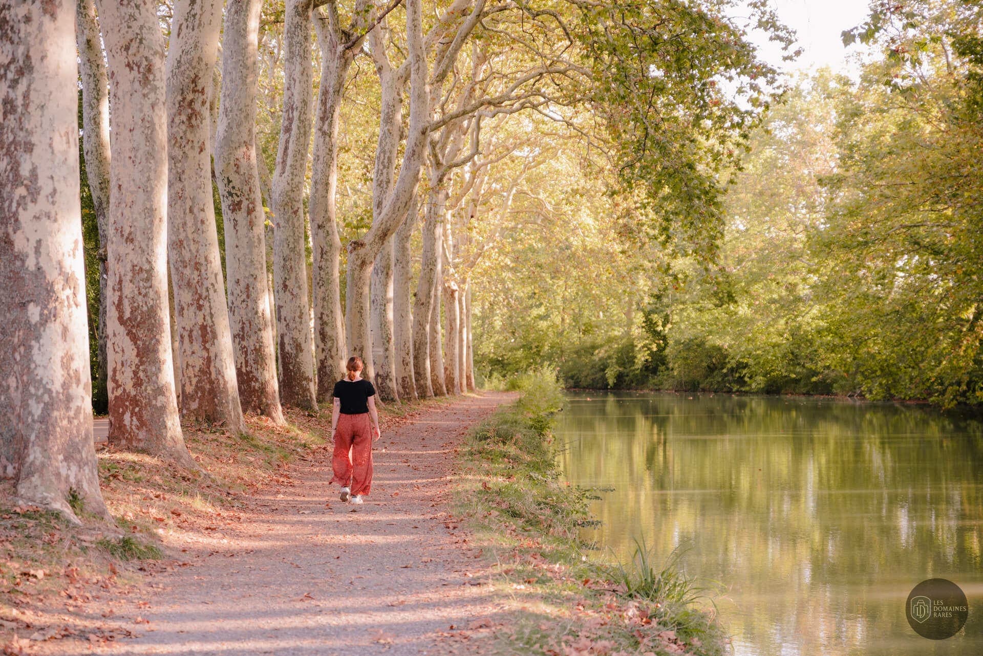Vue extérieure de la ferme Le Mas des Canelles en Occitanie