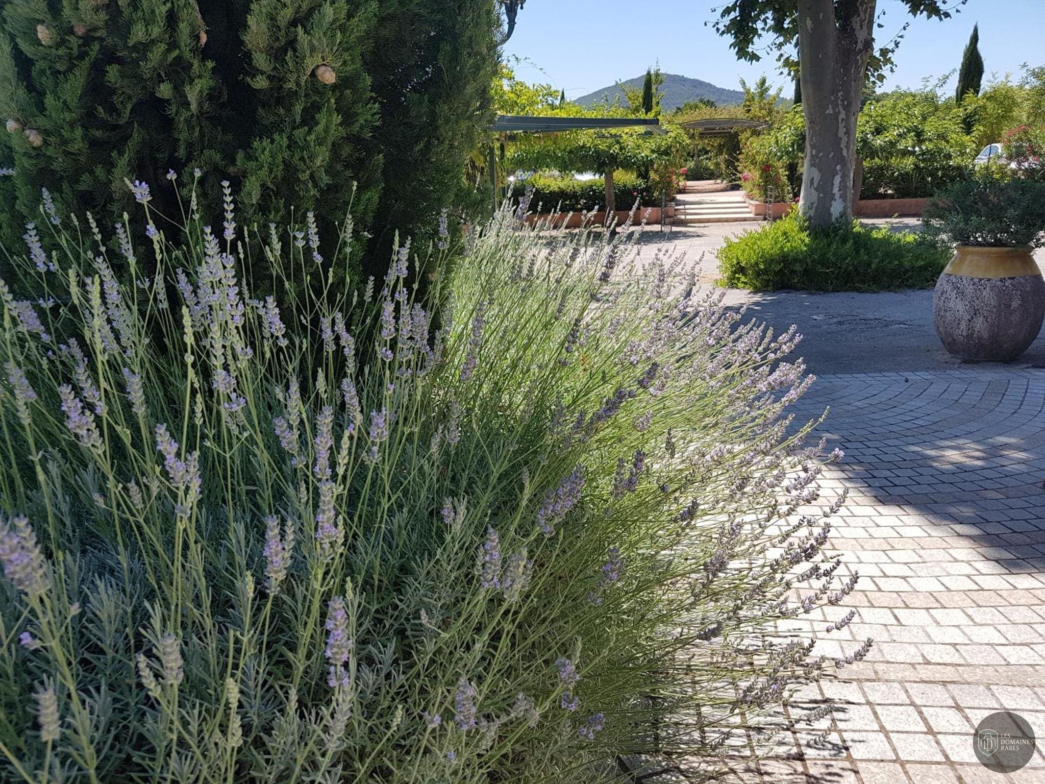 Vue extérieure du domaine Le Mas du Lingousto à Cuers en Provence-Alpes-Côte d'Azur