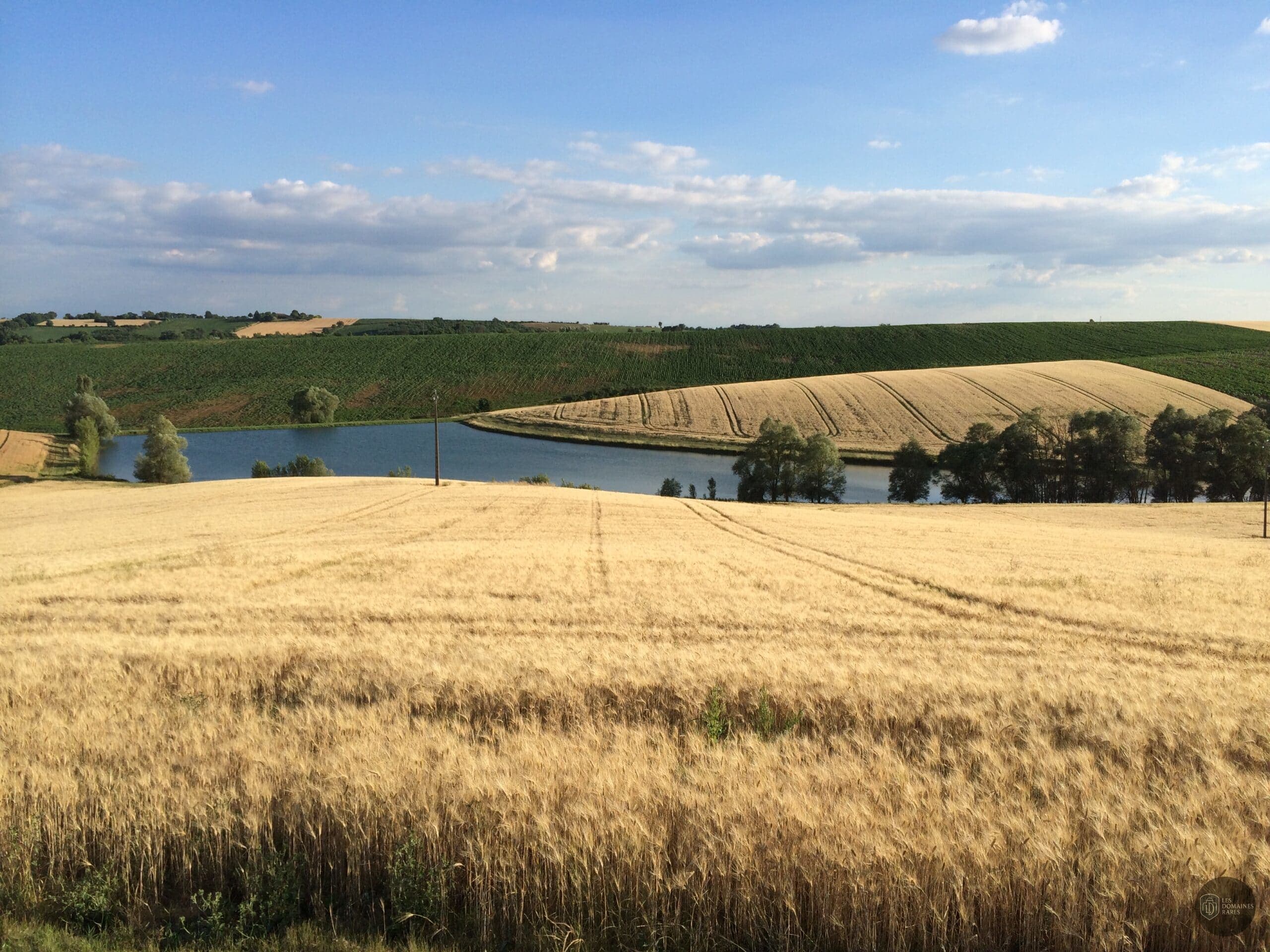 Vue extérieure du domaine Le Meillon à Monferran en Occitanie