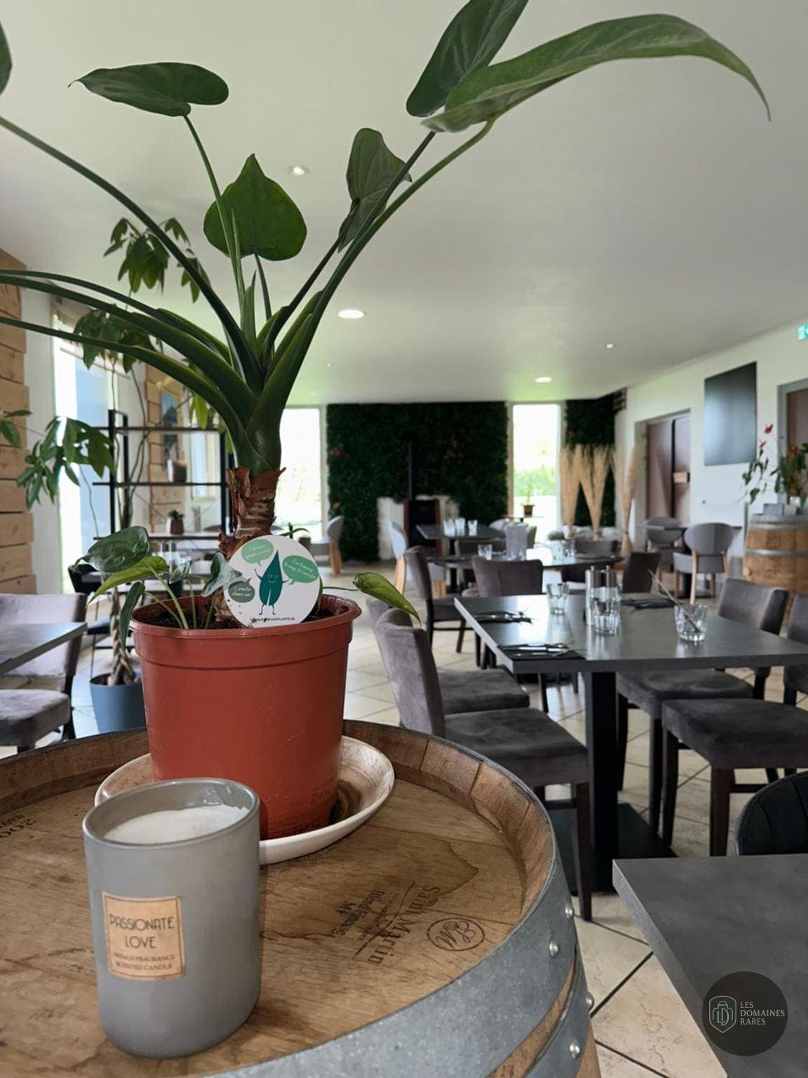Restaurant de l'hôtel Le Montania à Nébouzat en Auvergne-Rhône-Alpes - séminaire orcival, france