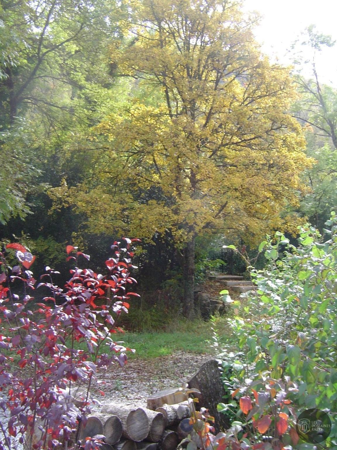 Vue extérieure du moulin Le Moulin de Gueliz à Paley en Île-de-France