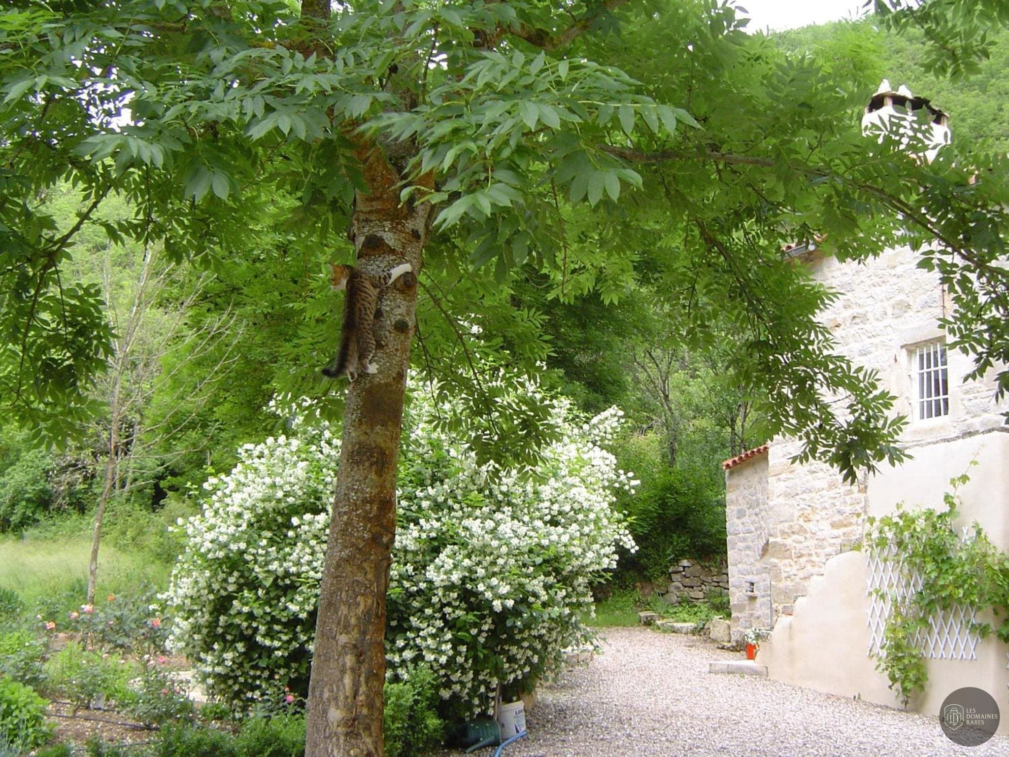Vue extérieure du moulin Le Moulin de Gueliz à Paley en Île-de-France