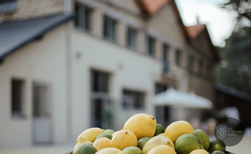 Citrons avec bâtiment en arrière-plan