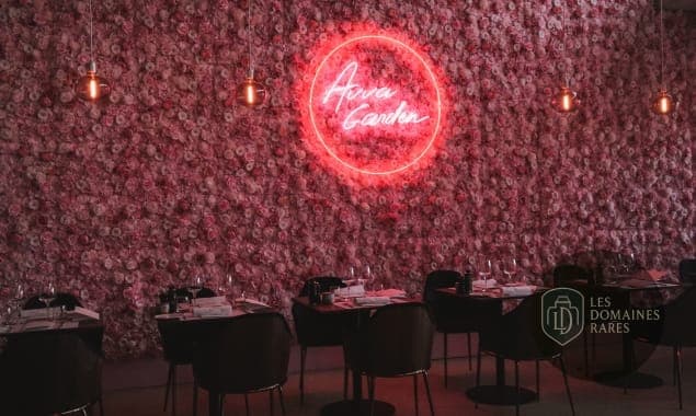 Restaurant du lieu Le Nuage en Centre-Val de Loire - séminaire ouzouer-sur-trézée, france