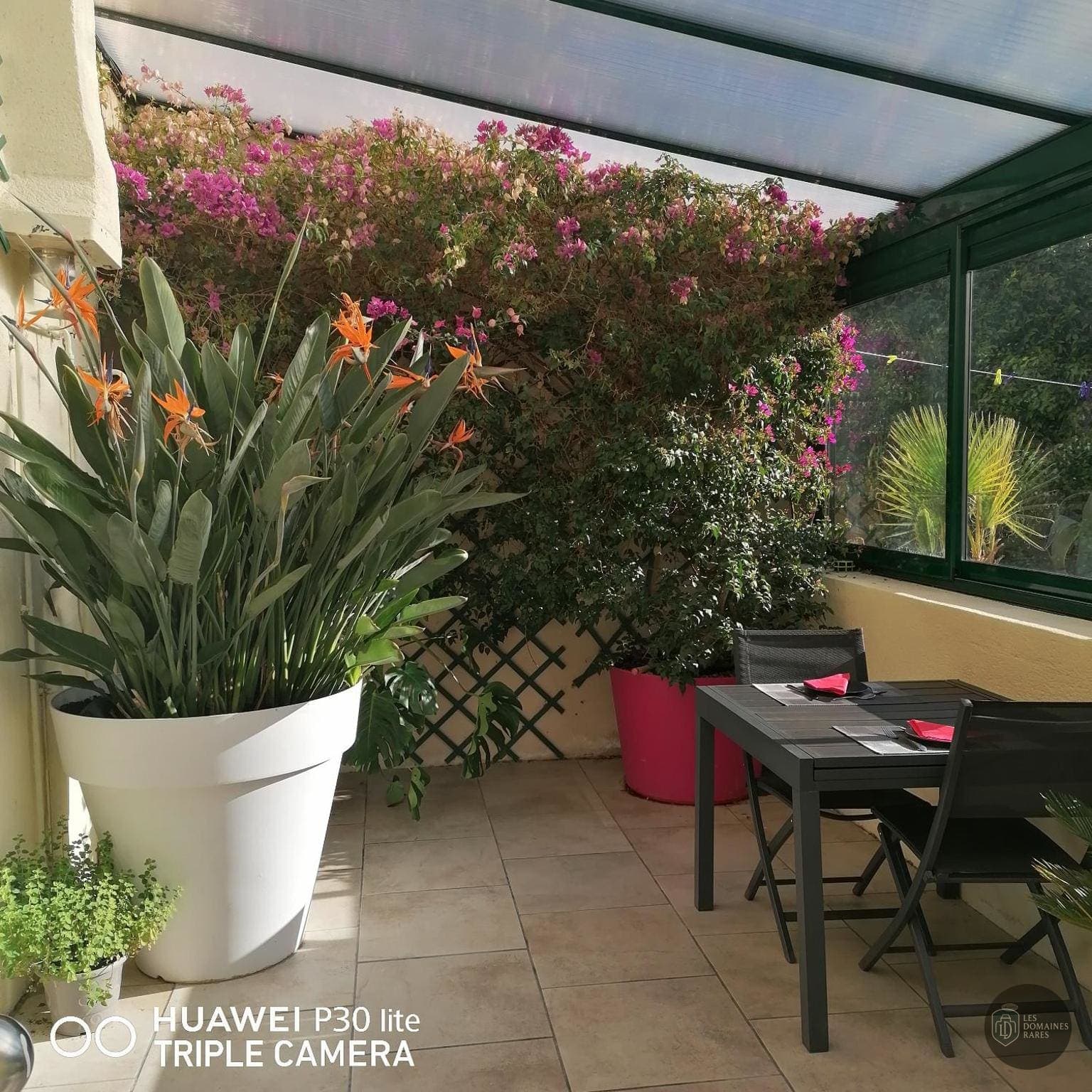 Le Patio D'Emmanuel — Extérieur