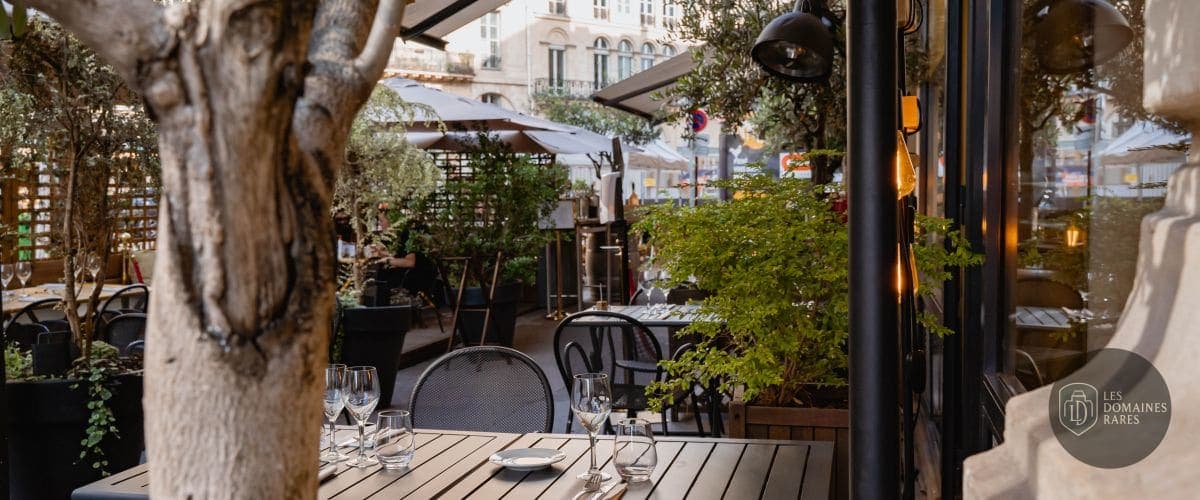Terrasse ombragée avec tables dressées