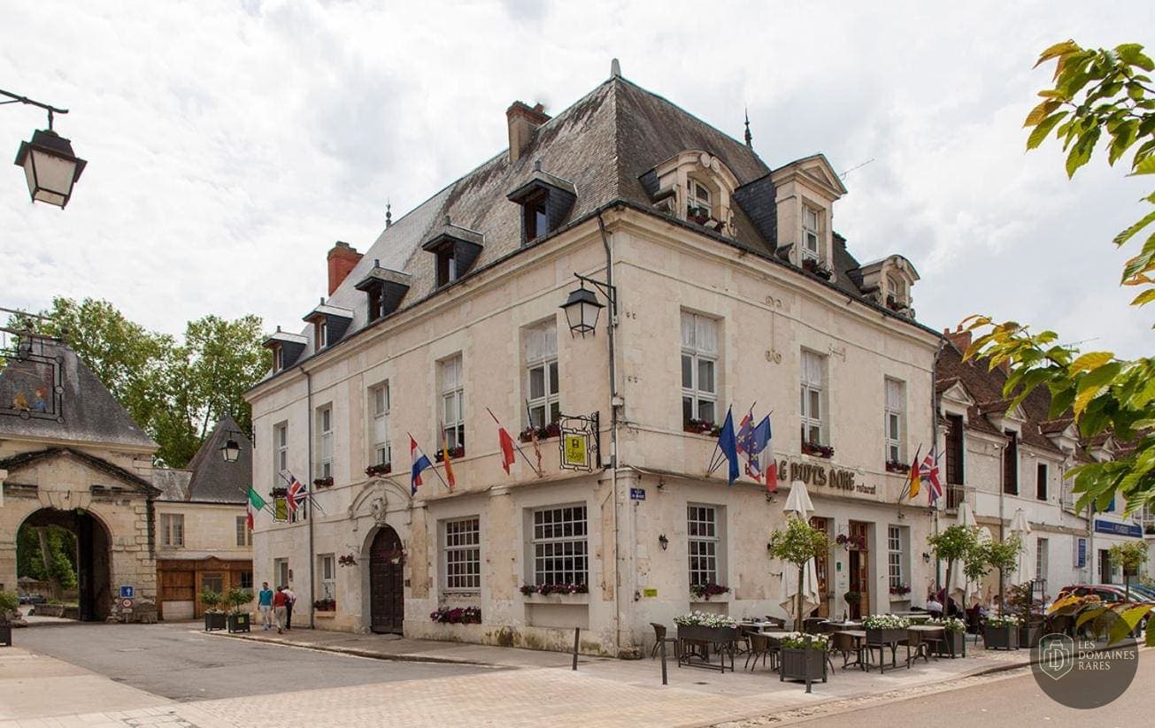 Vue extérieure du lieu Le Puits Doré à Richelieu en Centre-Val de Loire