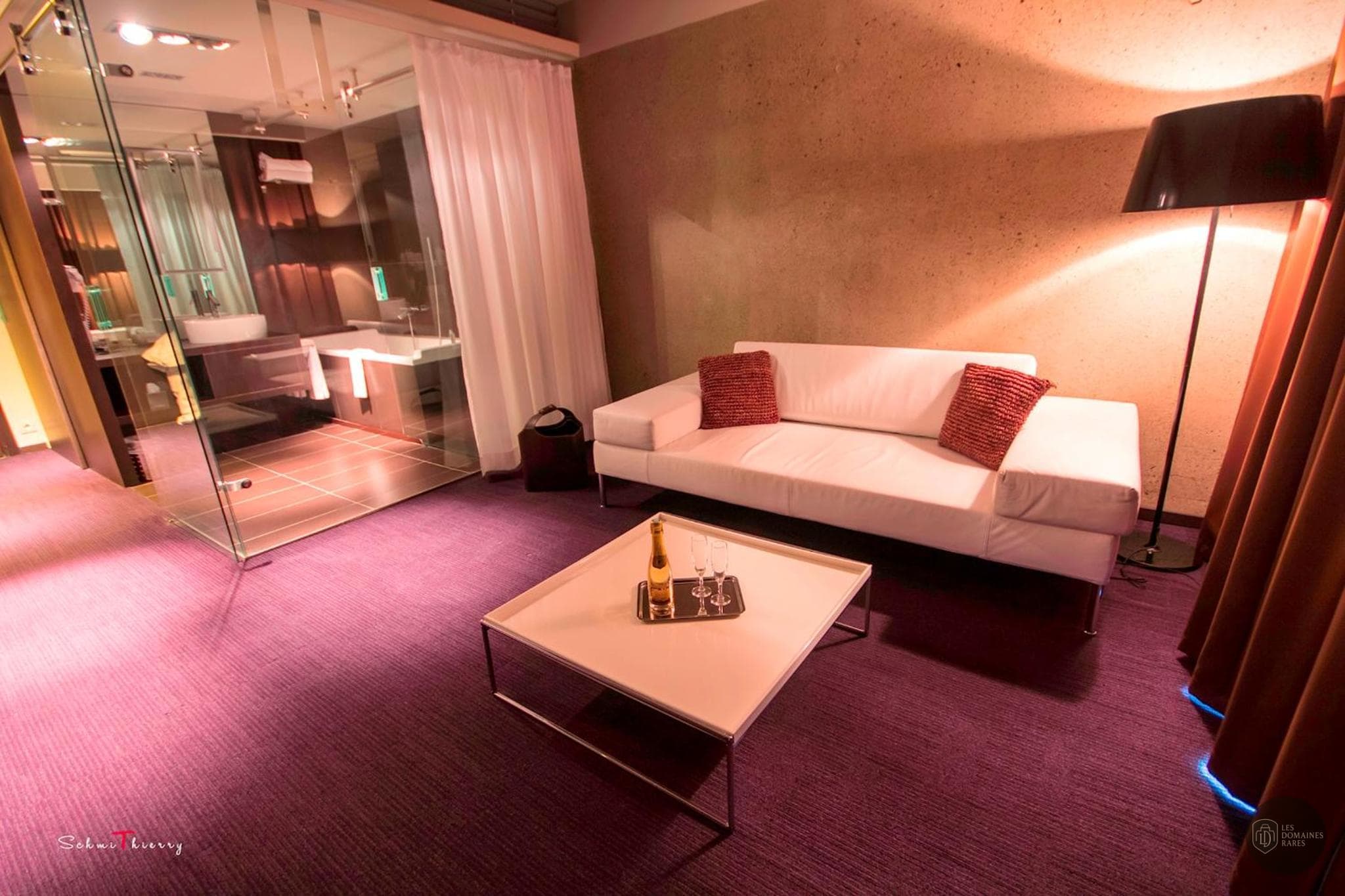 Espace intérieur de l'hôtel Le Rex Hôtel à Tarbes en Occitanie