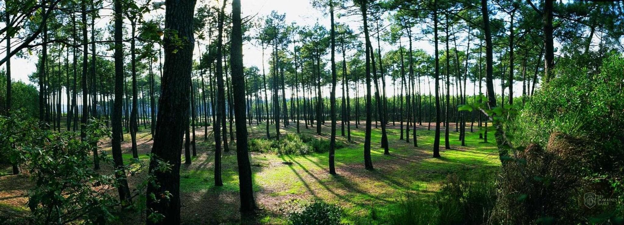 Vue extérieure du lieu Le Rivage à Olivet en Centre-Val de Loire
