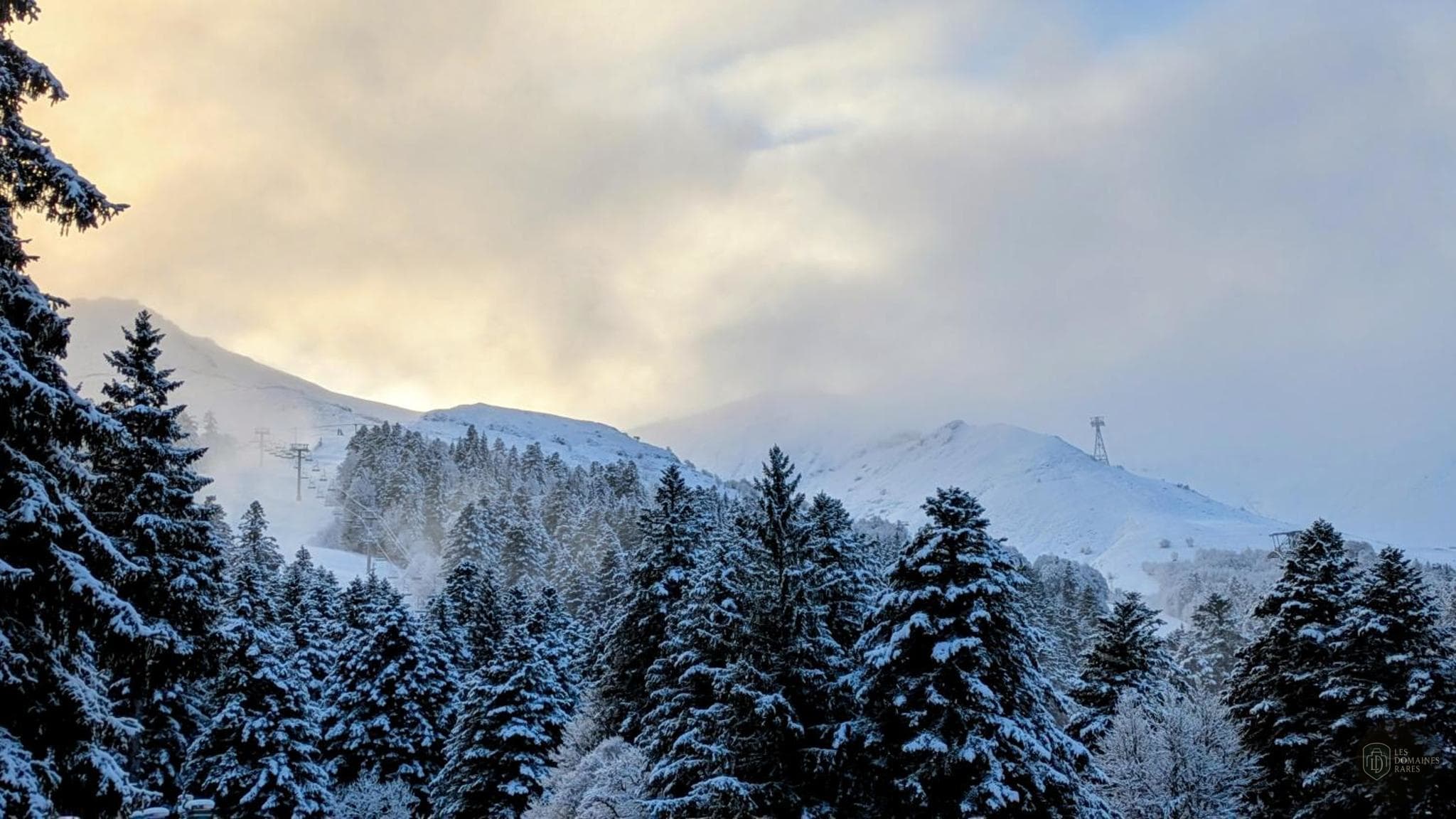 Vue extérieure du lieu Le Rocher du Cerf à Laveissière en Auvergne-Rhône-Alpes