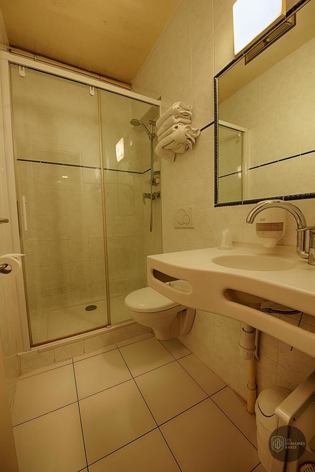 Salle de bain du lieu Le Ruisseau en Île-de-France