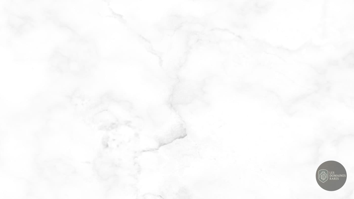 Texture marbre blanc