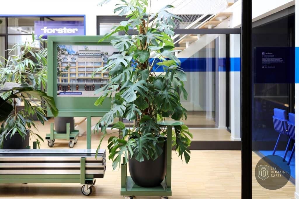 Espace intérieur du lieu Le Square à Astaffort en Nouvelle-Aquitaine
