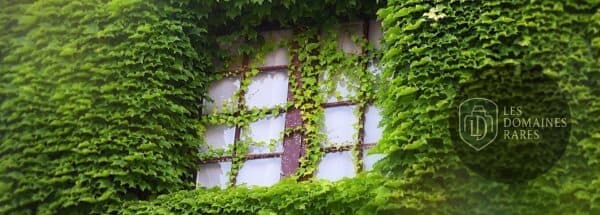 Vue extérieure de l'hôtel Le Top du Roulier à Capendu en Occitanie