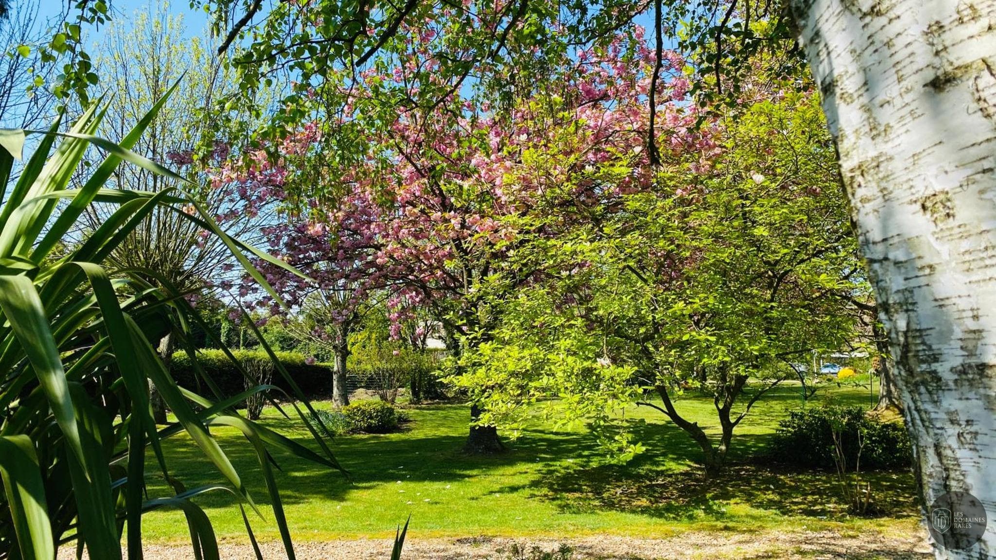 Le Tulipier — Extérieur