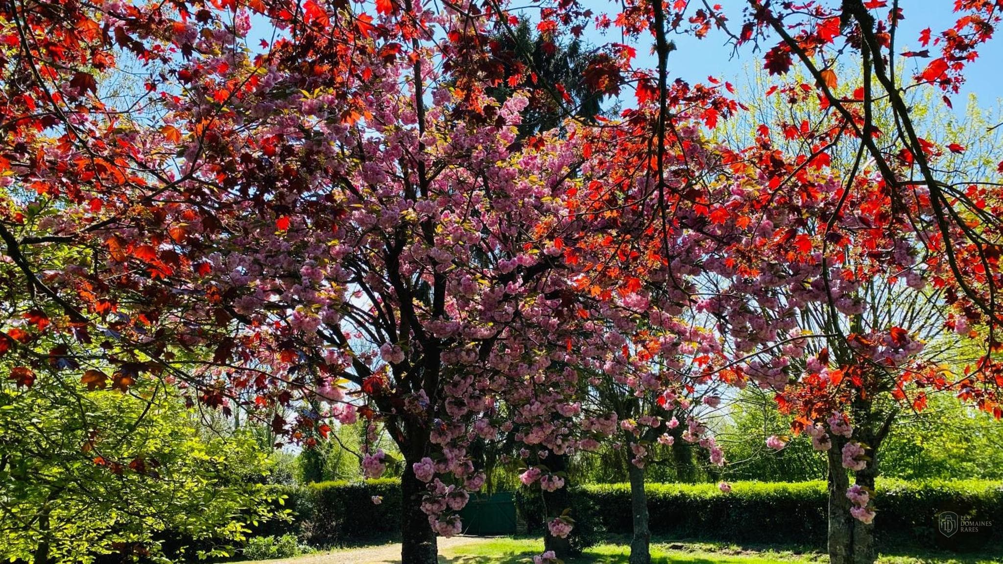 Le Tulipier — Extérieur