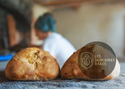 Restaurant du centre de séminaires Les Amanins en Auvergne-Rhône-Alpes