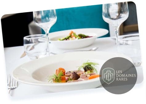 Restaurant du domaine Les Bateaux Lyonnais à Lyon en Auvergne-Rhône-Alpes