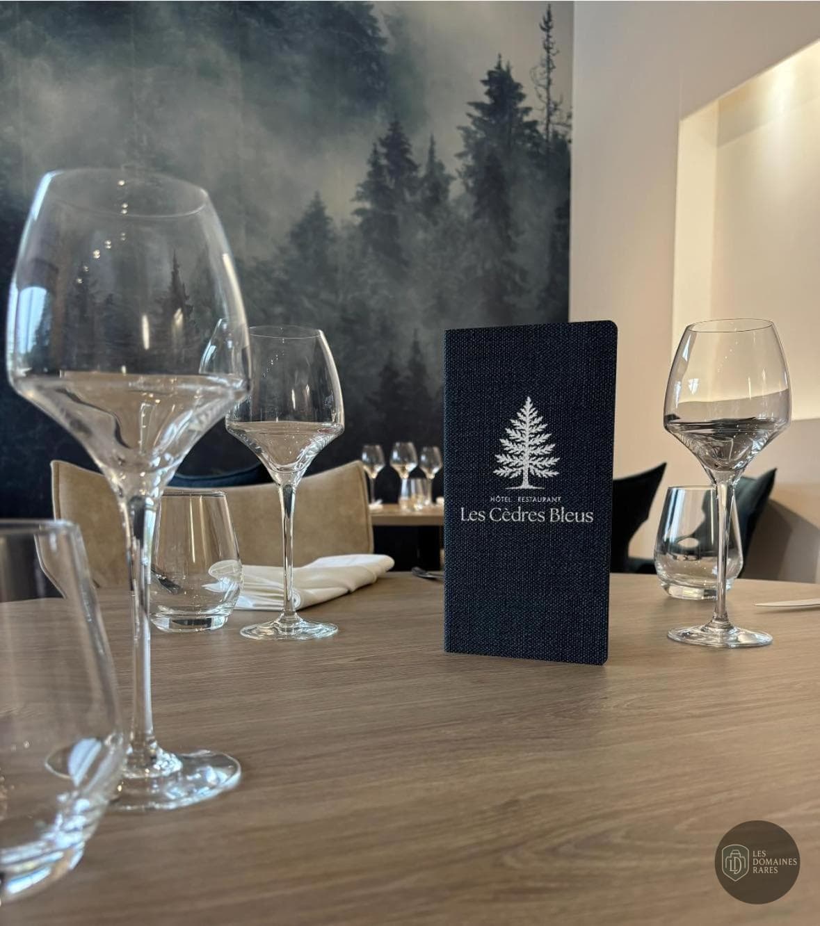 Restaurant du lieu Les Cèdres Bleus en Auvergne-Rhône-Alpes - séminaire haute-loire (43)