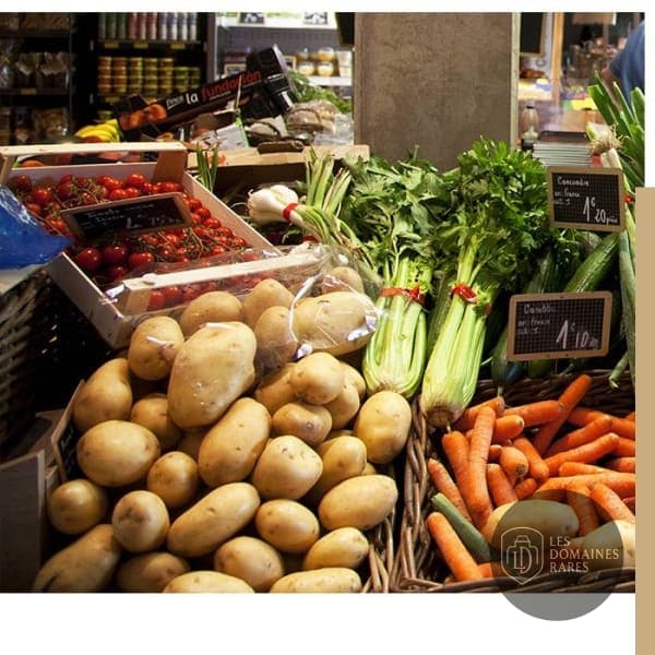 Étal de légumes frais