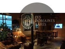 Salon lounge avec canapés et décoration