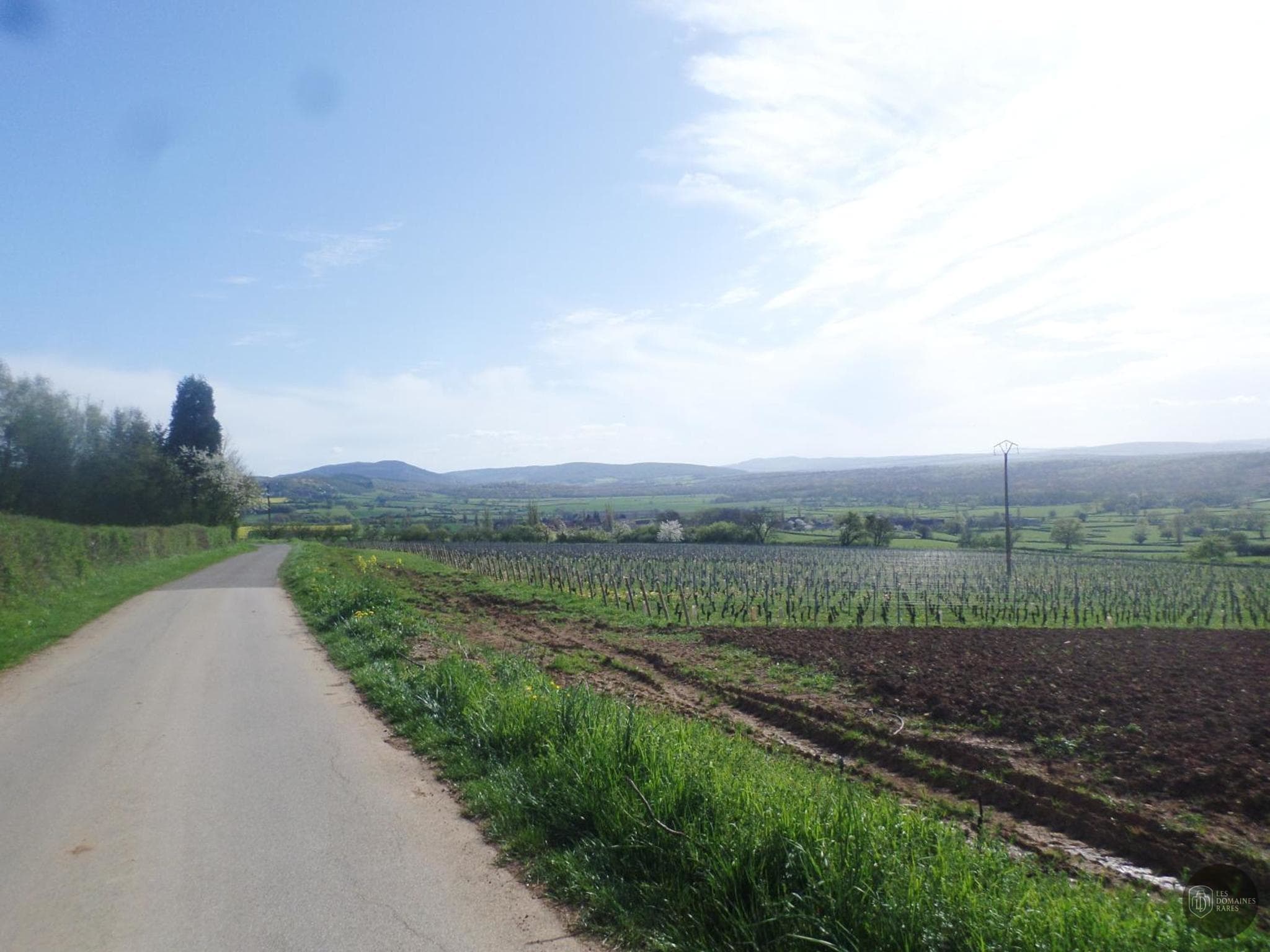 Vue extérieure de l'hôtel Les Marronniers en Bourgogne-Franche-Comté