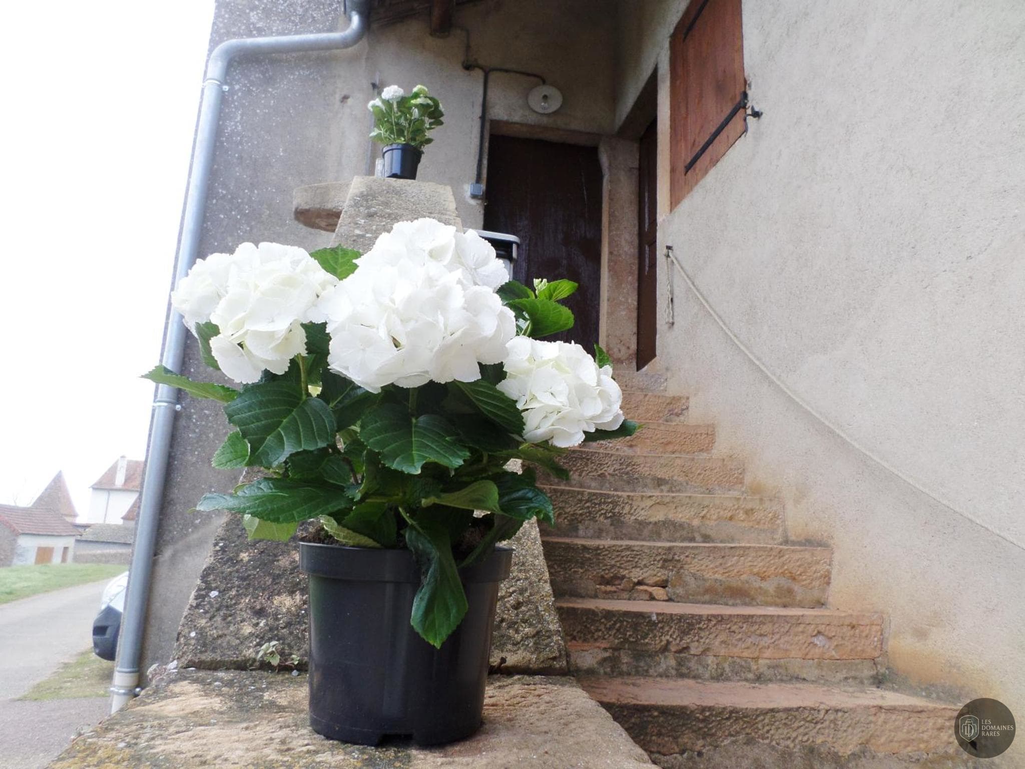 Vue extérieure de l'hôtel Les Marronniers en Bourgogne-Franche-Comté