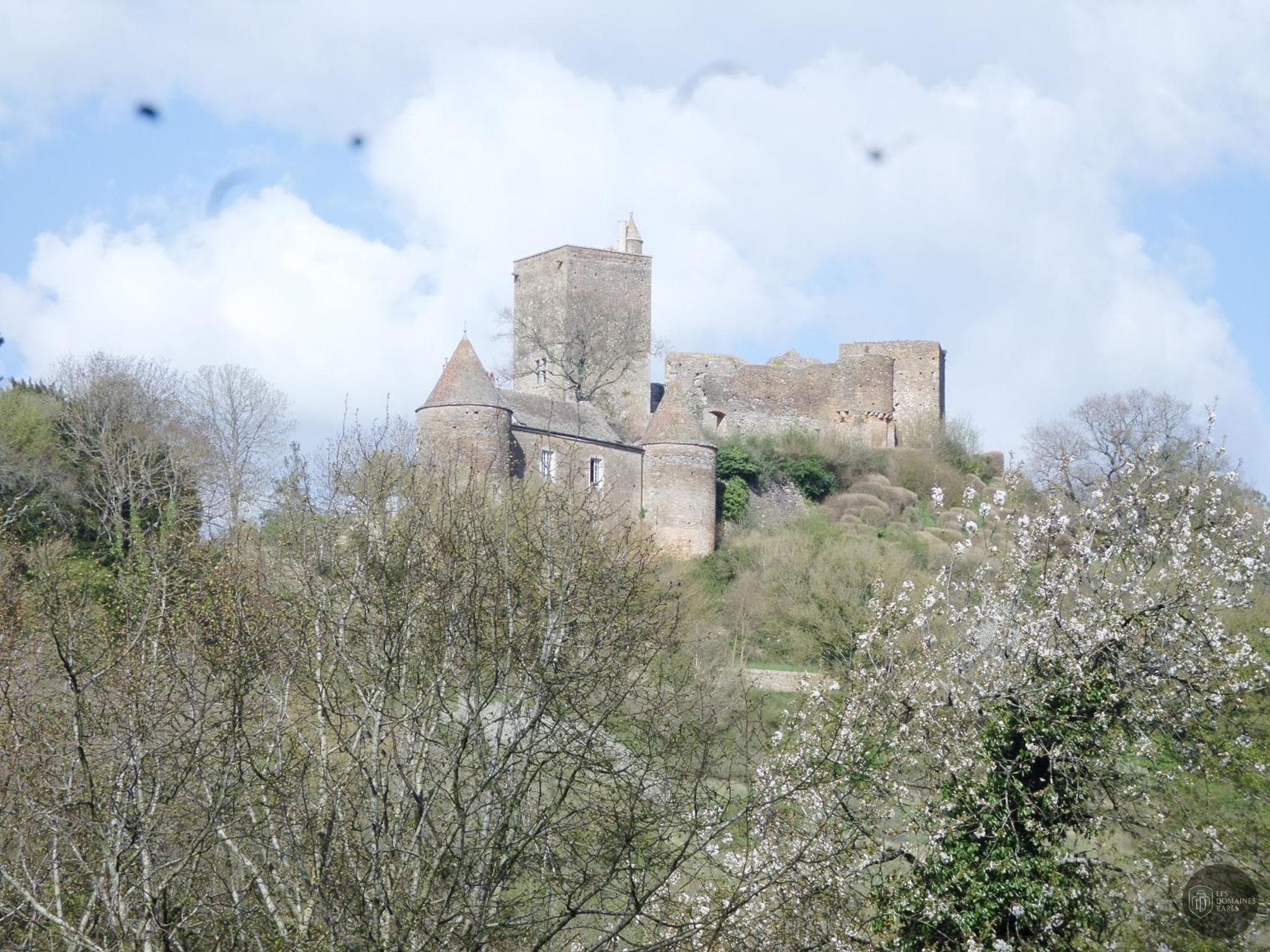 Vue extérieure de l'hôtel Les Marronniers en Bourgogne-Franche-Comté