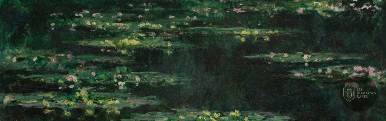 Vue extérieure du lieu Les Nymphéas à Rouen en Normandie