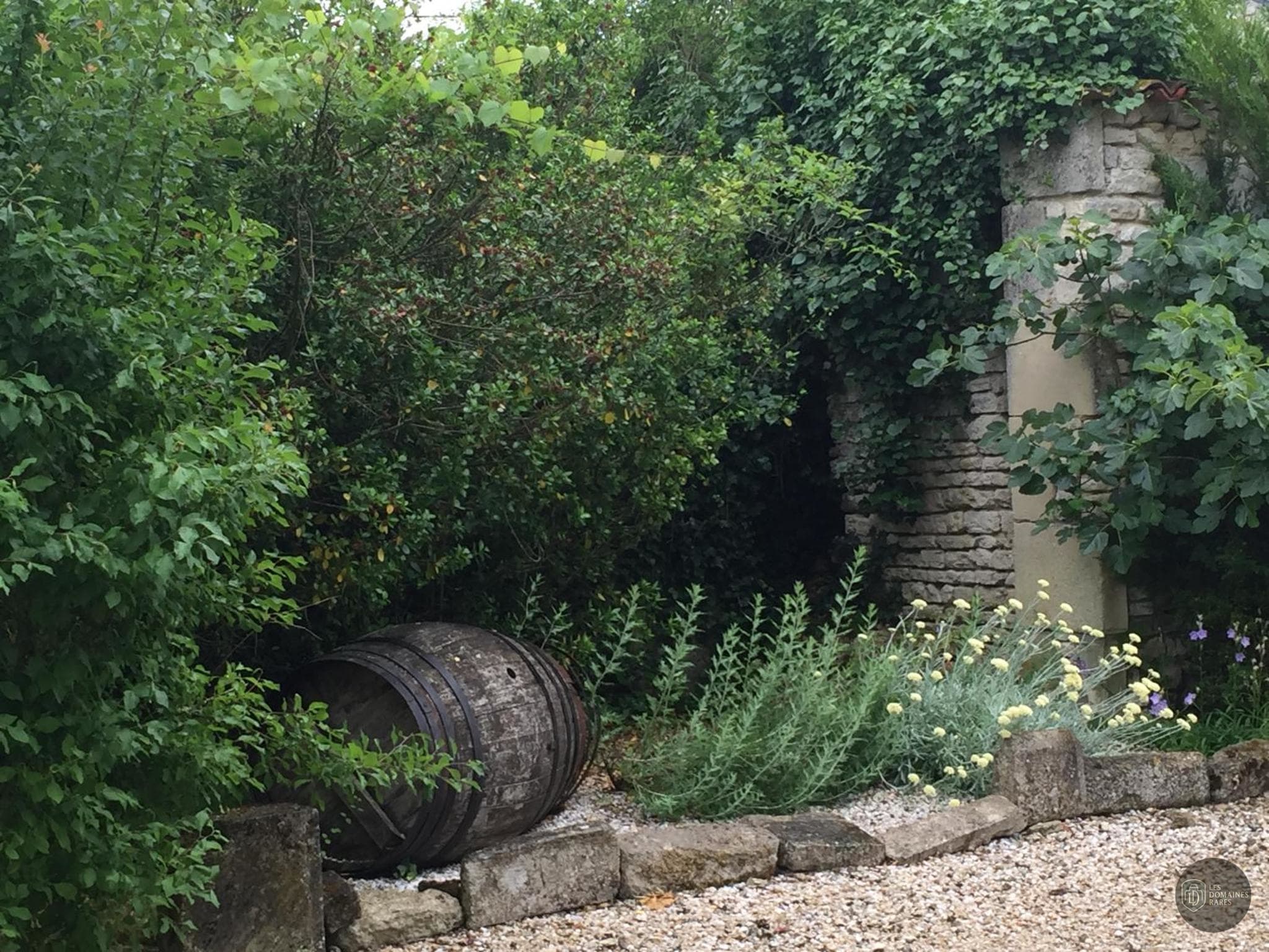 Vue extérieure de la ferme Les Ombres en Île-de-France