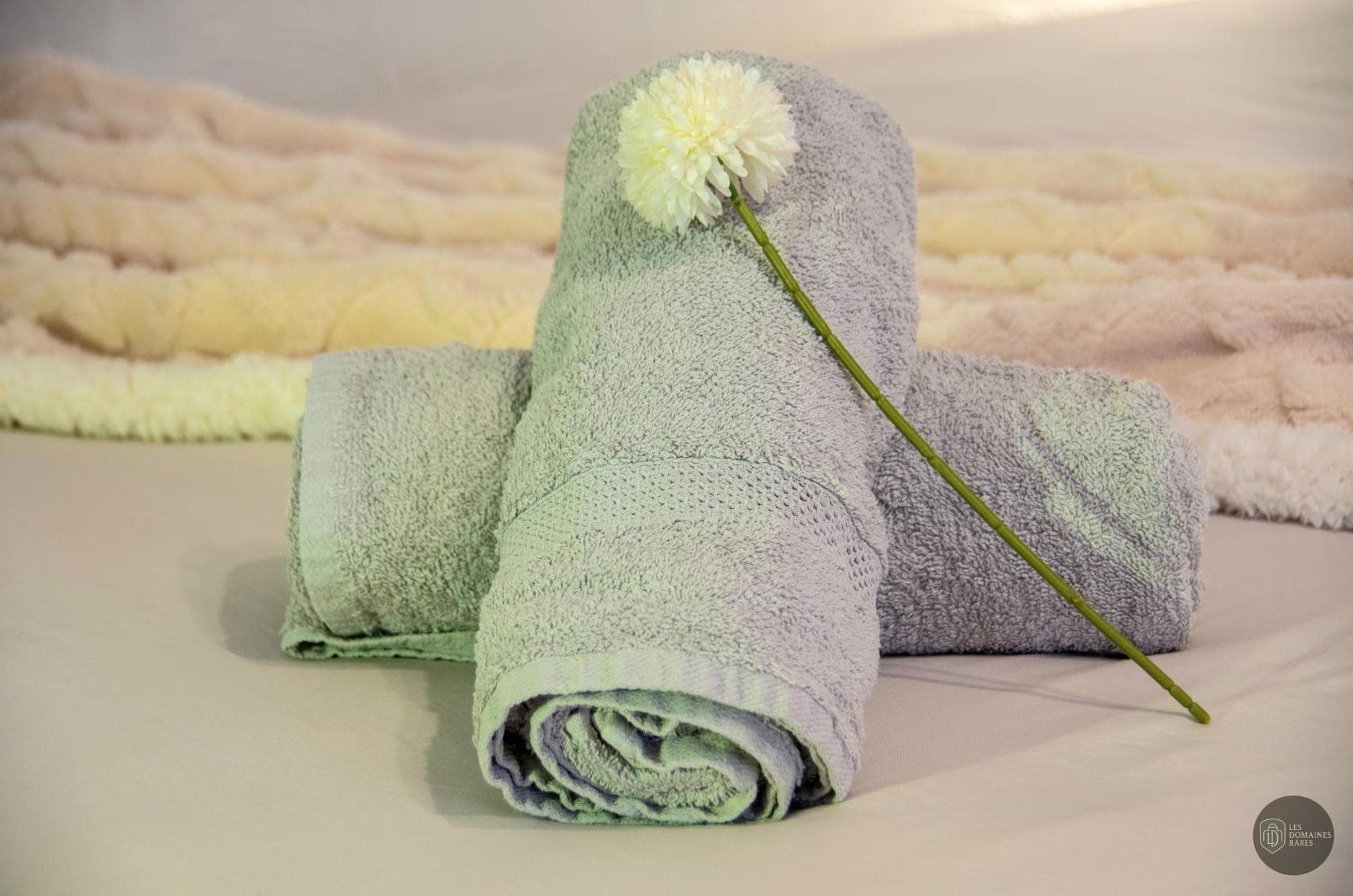 Spa de l'hôtel Les Pins Galants à Tournefeuille en Occitanie