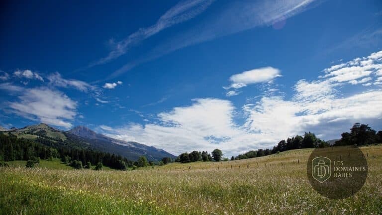 Vue extérieure de l'hôtel Les Playes en Auvergne-Rhône-Alpes