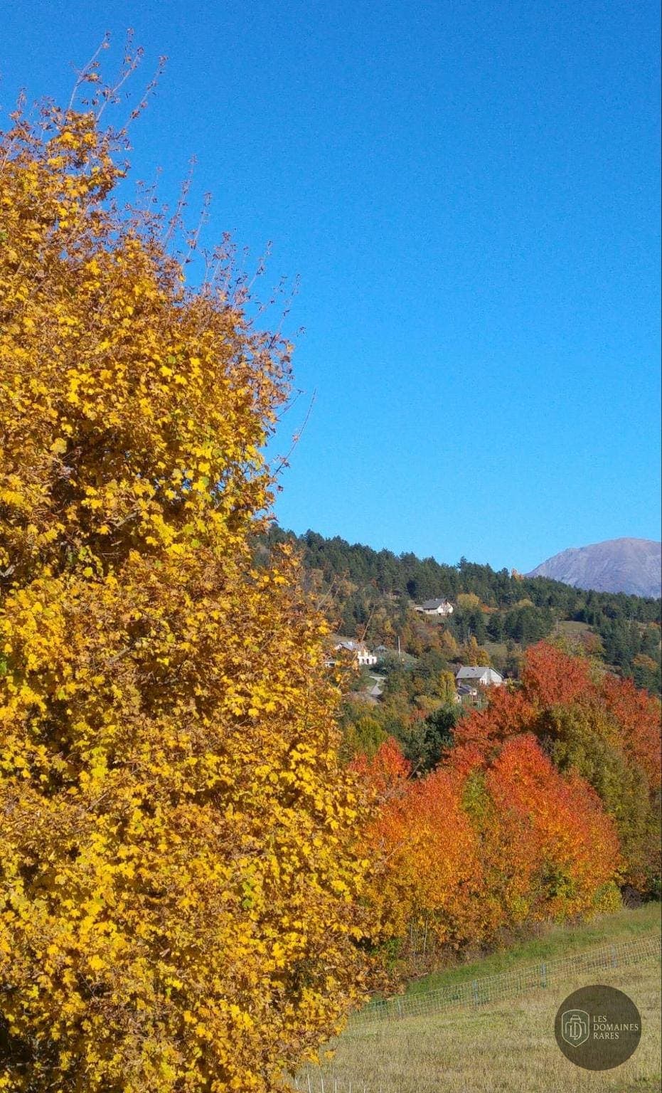 Vue extérieure de l'hôtel Les Roches Fleuries à Megève en Auvergne-Rhône-Alpes