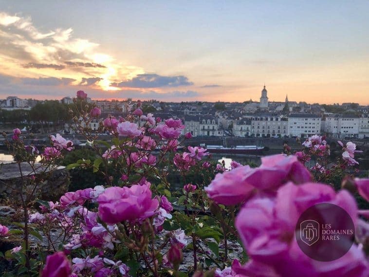 Vue extérieure du lieu Les Salons Donadieu à Angers en Pays de la Loire