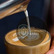 Latte art - café crème