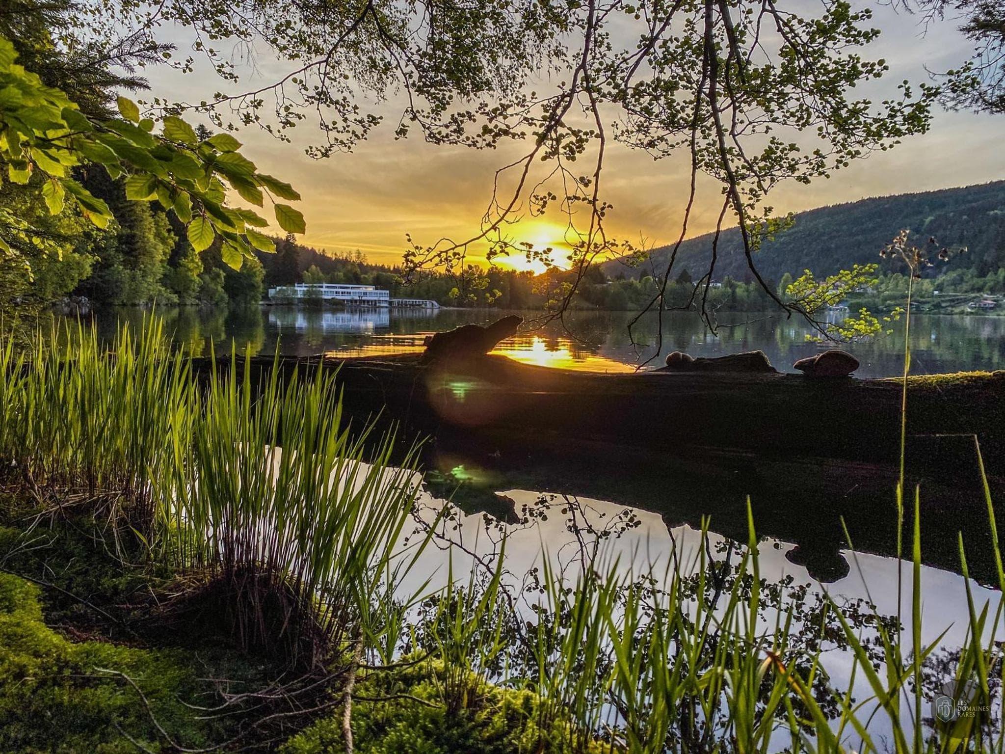 Vue du lieu Lido Gérardmer à Gérardmer en Grand Est
