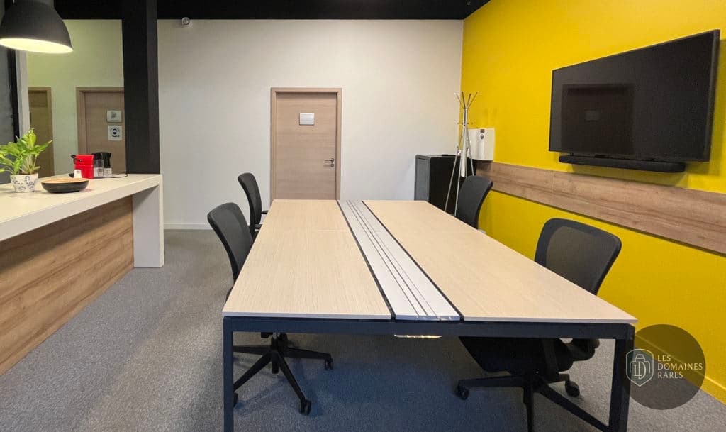 Salle de réunion 9 du lieu Lokaburo à Sélestat en Grand Est