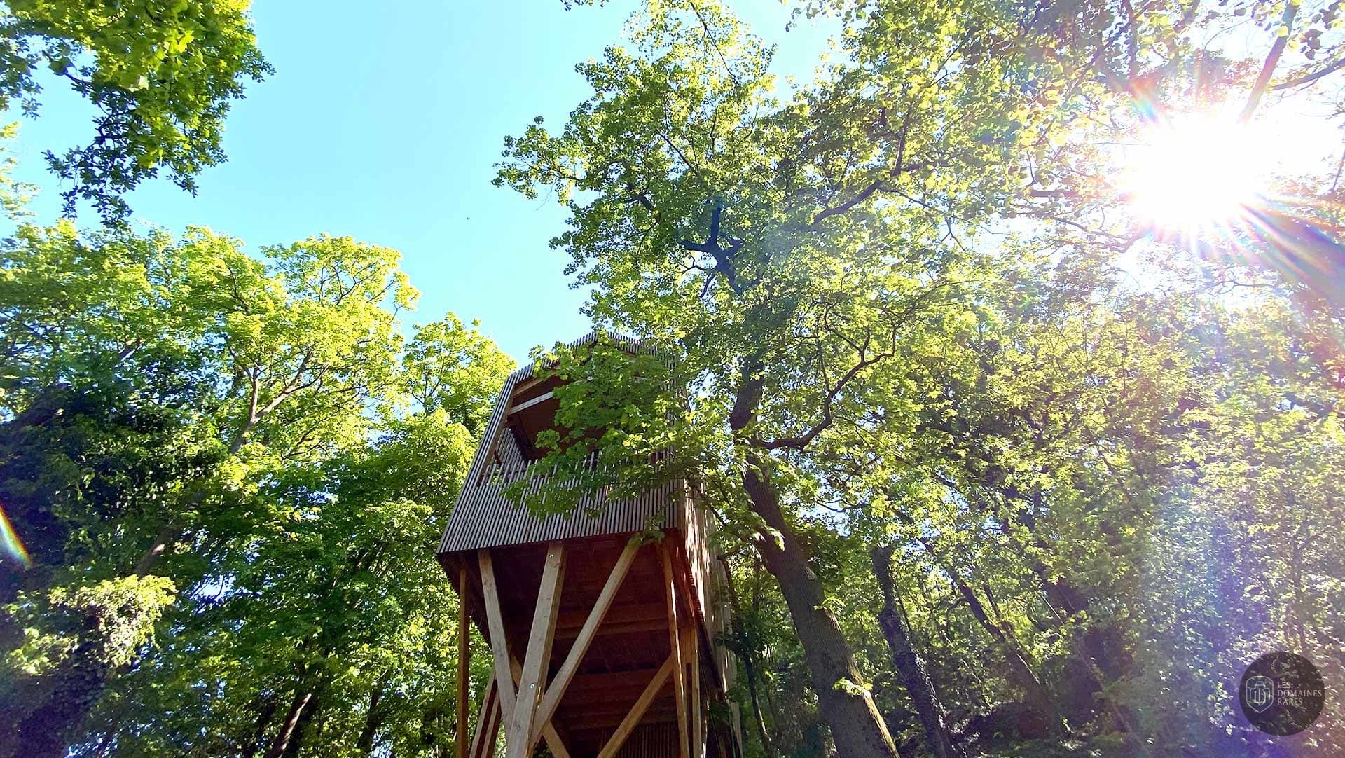 Tour d'observation dans les arbres