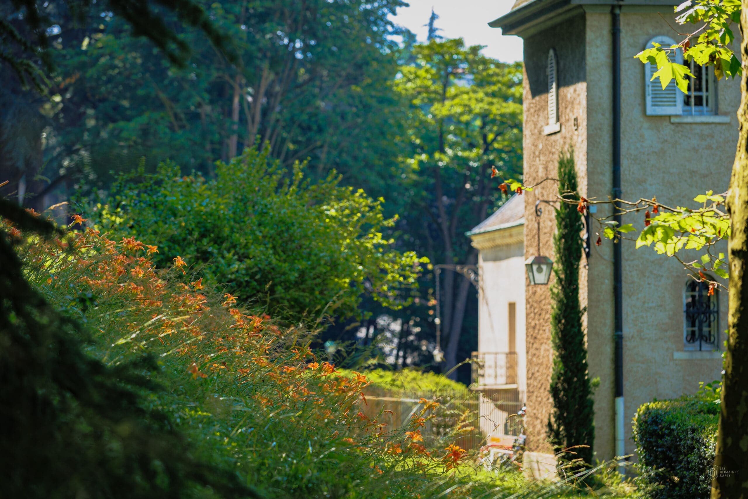 Partie du bâtiment vue à travers verdure
