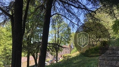 Domaine vu à travers les arbres
