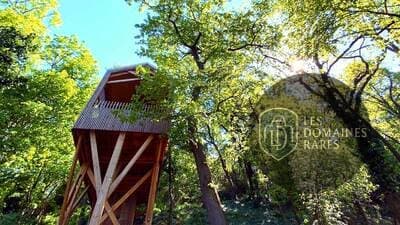 Cabane dans les bois